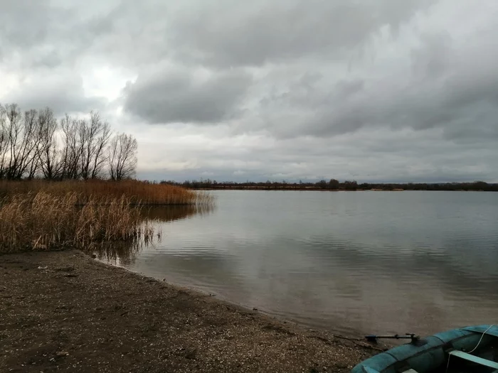 Lake - My, Autumn, Lake, Reeds, A boat