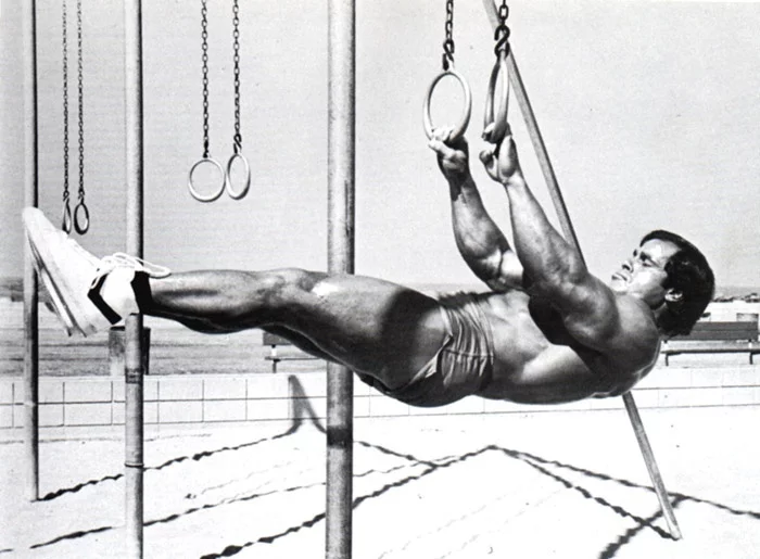 Post #7820272 - My, Workout, Exercises, Workout, Sport, Arnold Schwarzenegger, Franco Colombo, Gymnastics, Body-building, Video, Longpost