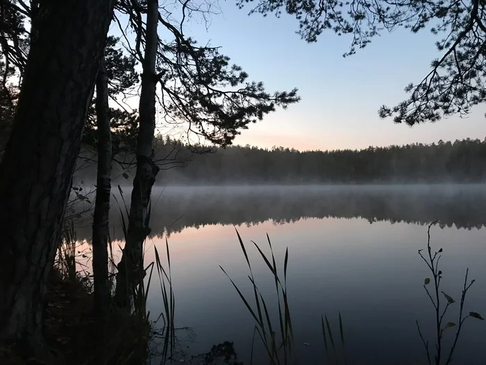 Dawn on Lake Okunevoe. Varamanselka ridge - My, Karelian Isthmus, Mobile photography, Fog, Water