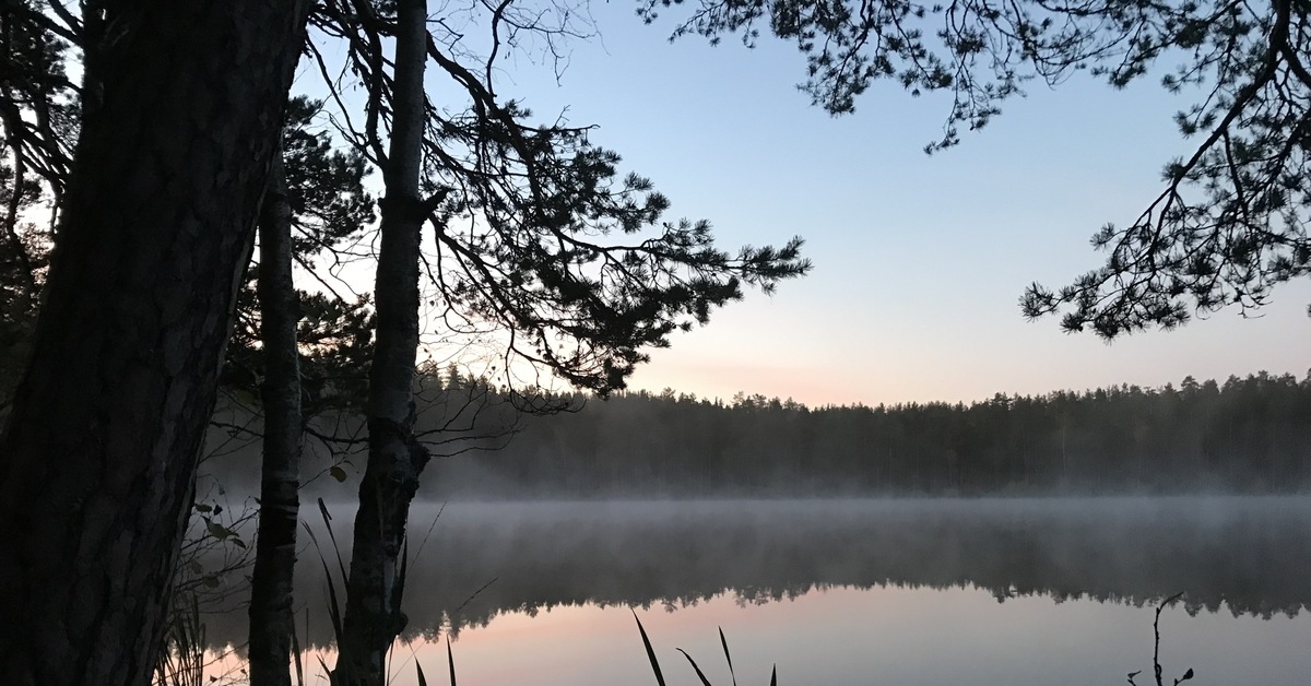 Линево озеро забайкальский край