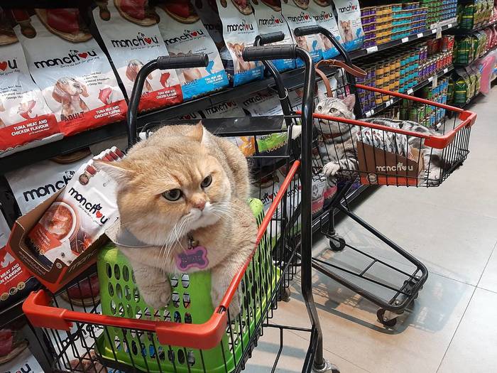 - ���������, �������, �� �������� ���� ������