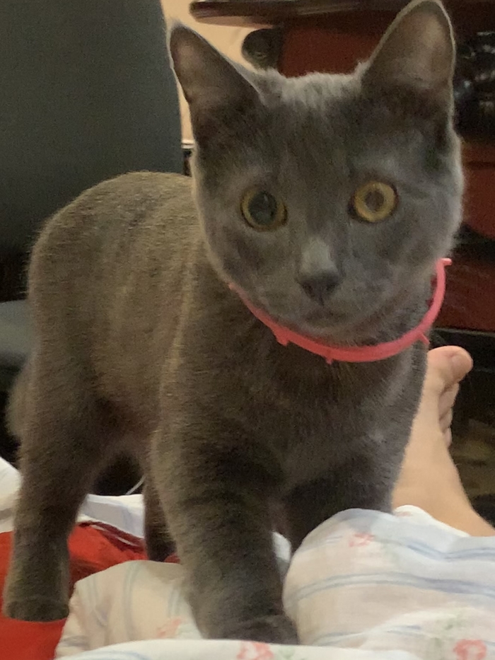 ������� ������