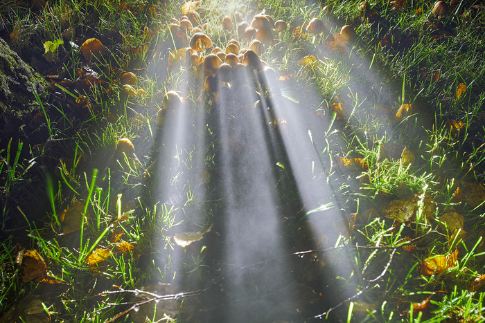 ��������� ����� ������