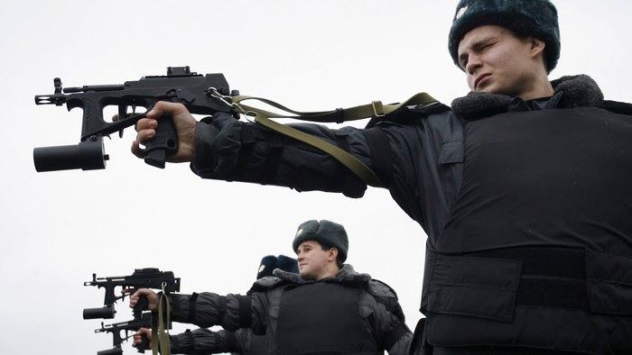 Russians may have the “right to be shot” - My, Ministry of Internal Affairs, Weapon, Rights, Fire