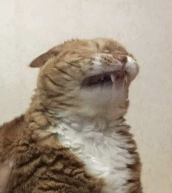     , , , ,   , ,   