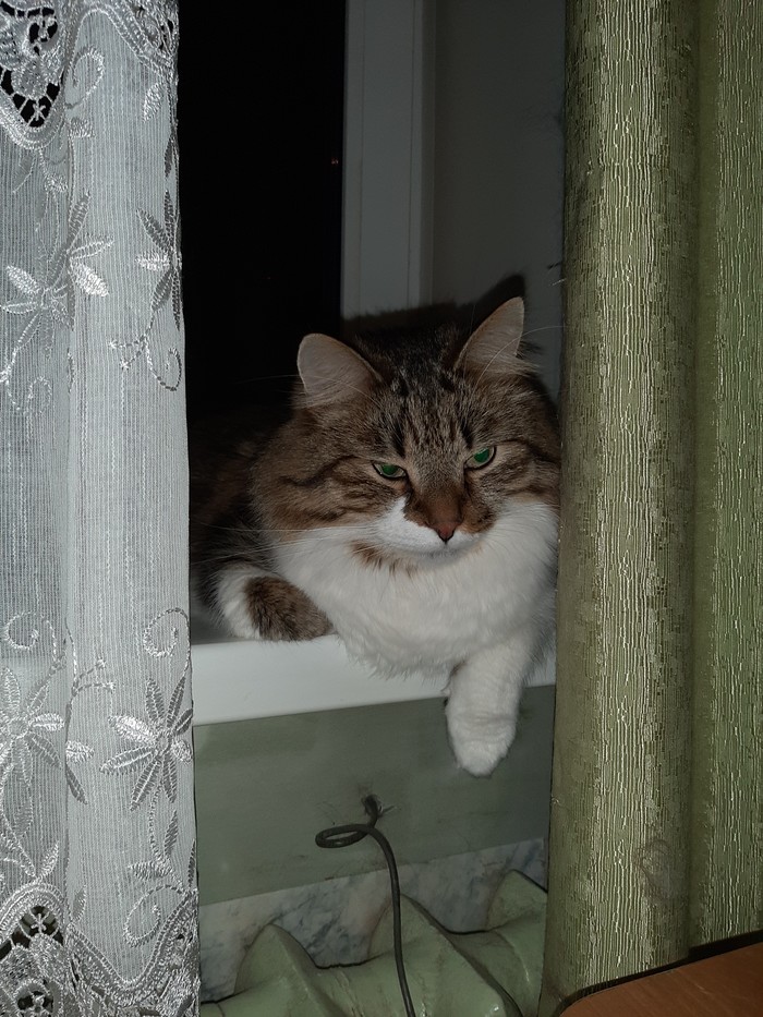 ���������