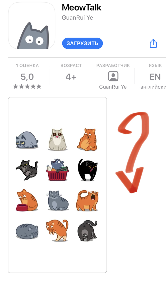 Meow Talk: что вы скажете своему коту/кошке?