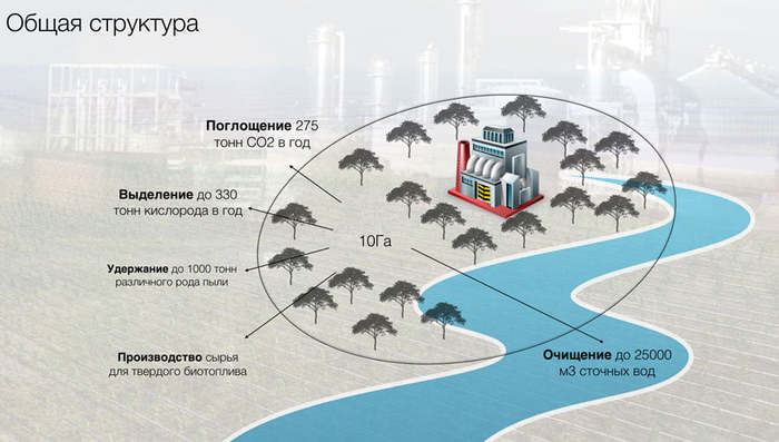 In simple terms: Natural Refineries - My, paulownia, Ecology, Project, Carbon, Climate, Longpost