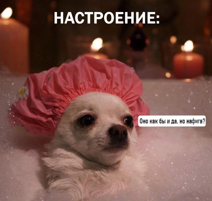 Autumn melancholy: When the water was heated, bubbles were blowing - The photo, Bath, Foam, Bath foam, Candle, Swimming cap, Dog, Mood