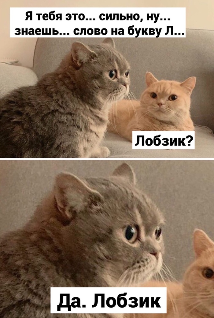 Слово на букву Л