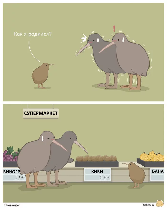 Mom, how was I born? - Kesanitw, Comics, Kiwi bird, Kiwi, Where the babies come from