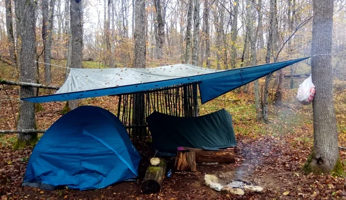 Camp in the forest - My, Hike, Camping, Camp, Russia, Bushcraft, Survival, Tent, Shed, Autumn, Forest, Tourism, Cache, Longpost