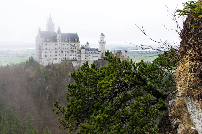 Neuschwanstein Castle in Bavaria - Lock, Neuschwanstein, Germany, Longpost