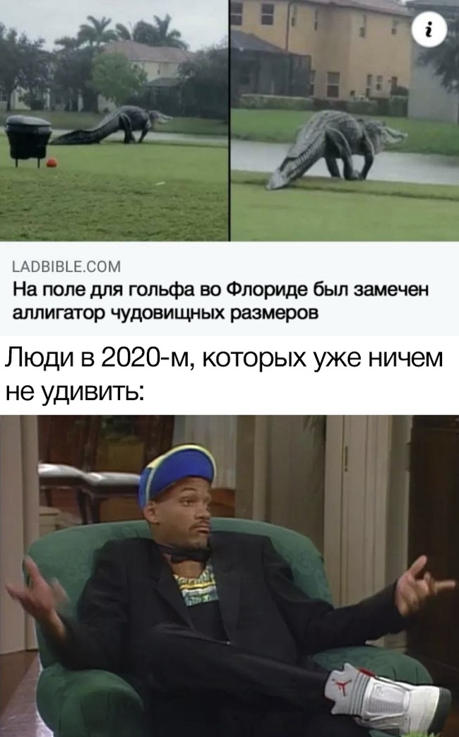   , , ,  ,   , , , 2020