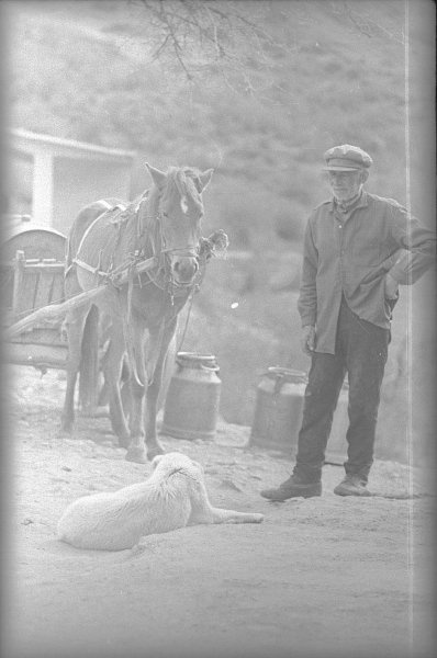 History of the USSR in photographs No. 185 - Story, The photo, A selection, Retro, the USSR, Longpost, Black and white photo