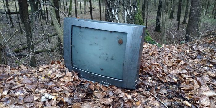 Your autumn is shown here and there - Forest, Nature, Autumn, TV set, Grayness