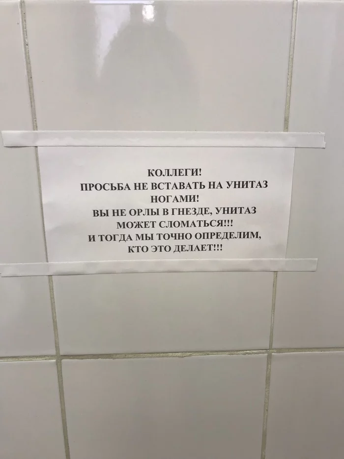 Eagles' nests are not only in nature, and eagles are not only in the sky) - My, Humor, Toilet humor, Funny ads, Strange ads, And laughter and sin, Eagles, Nest