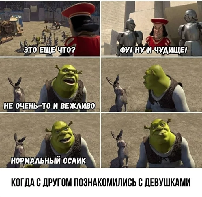 If a friend suddenly turns out... - Humor, Shrek, Shrek Donkey, Switchman, Cartoons, Acquaintance