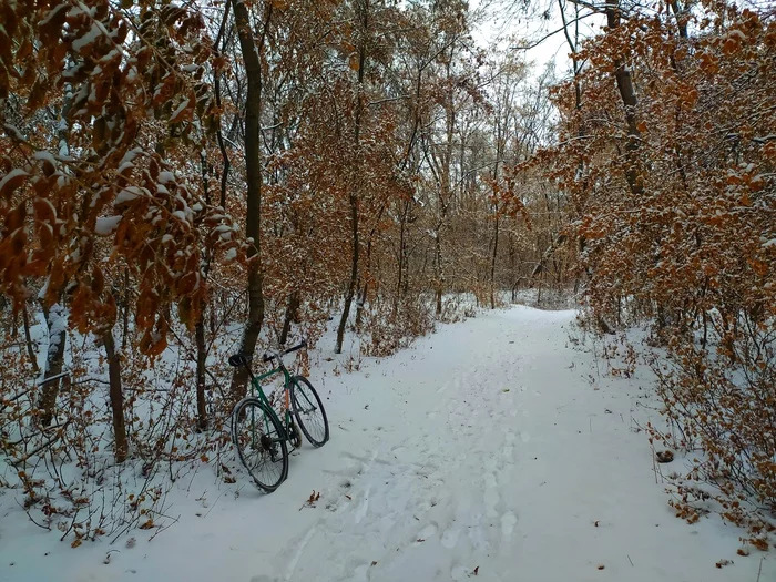 It's time for WINTER FUN! - My, Winter, A bike, Mobile photography, KhVZ, Snow, Positive