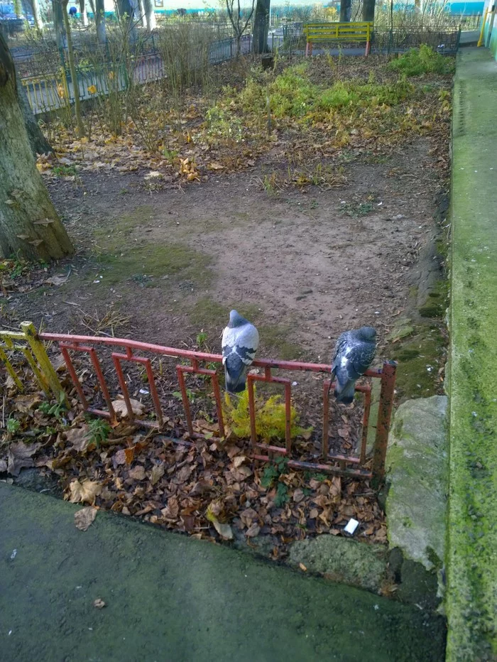 Camera Lumia 909 (1020) VS Samsung S7 for the user - My, Lumia 1020, Samsung galaxy s7, Comparison, Camera, camera phone, Versus, Against, Longpost