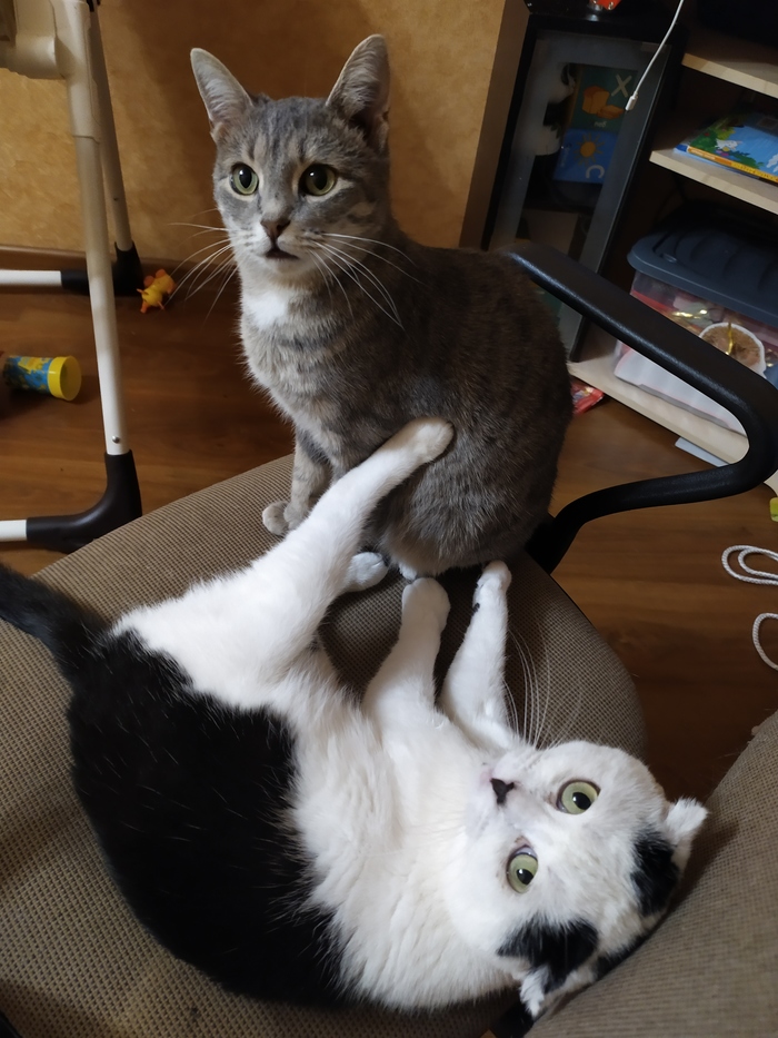 ��������� ��������!