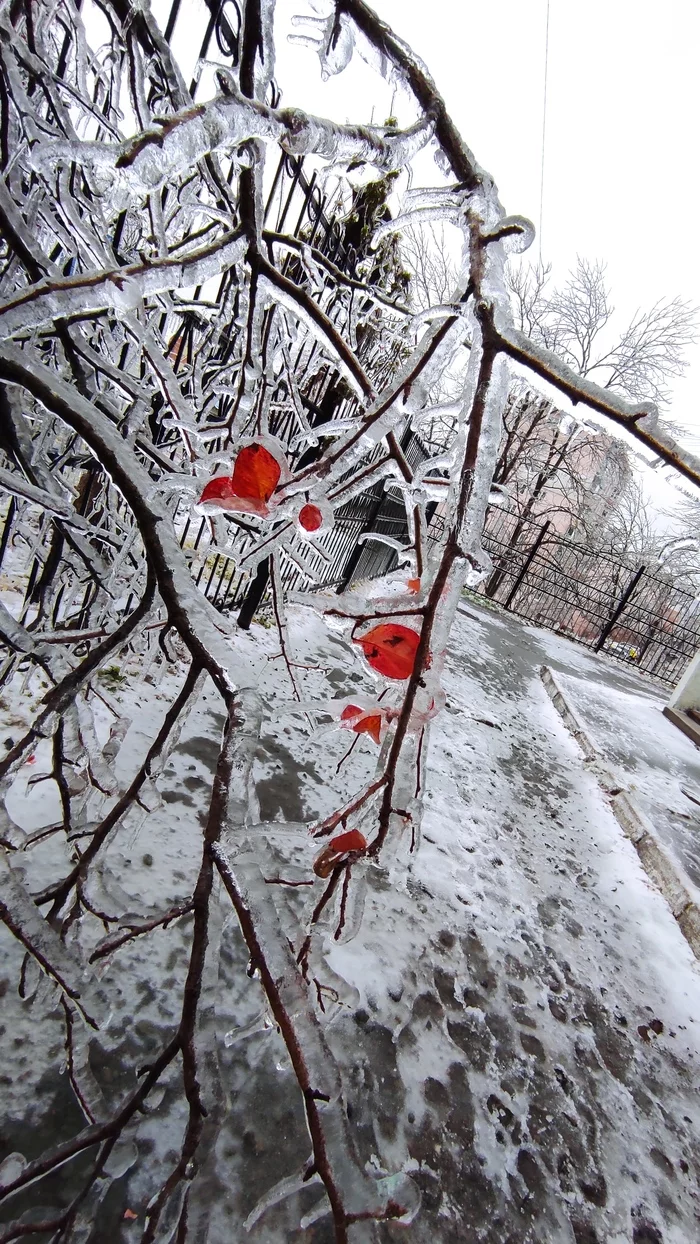 Icy beauty - My, Vladivostok, beauty, Ice, Longpost