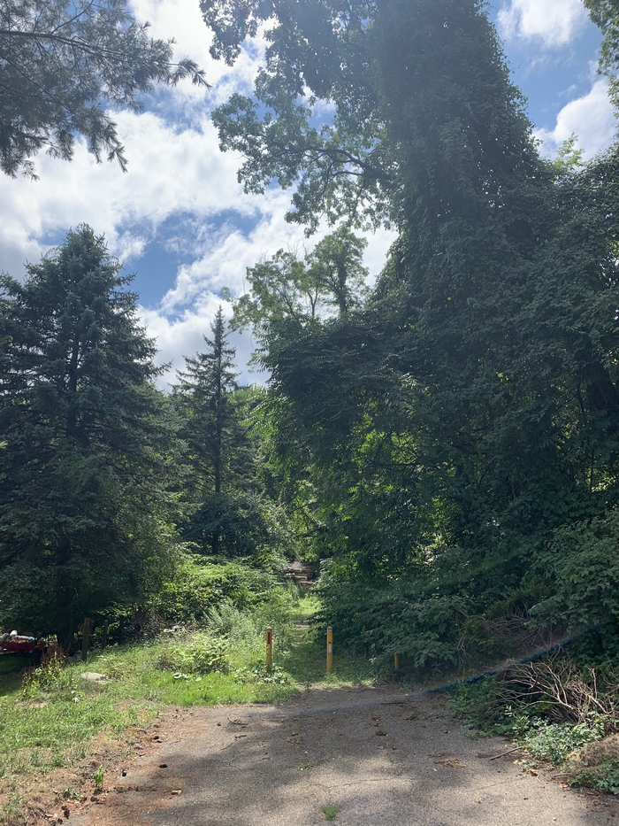 На заднем дворе