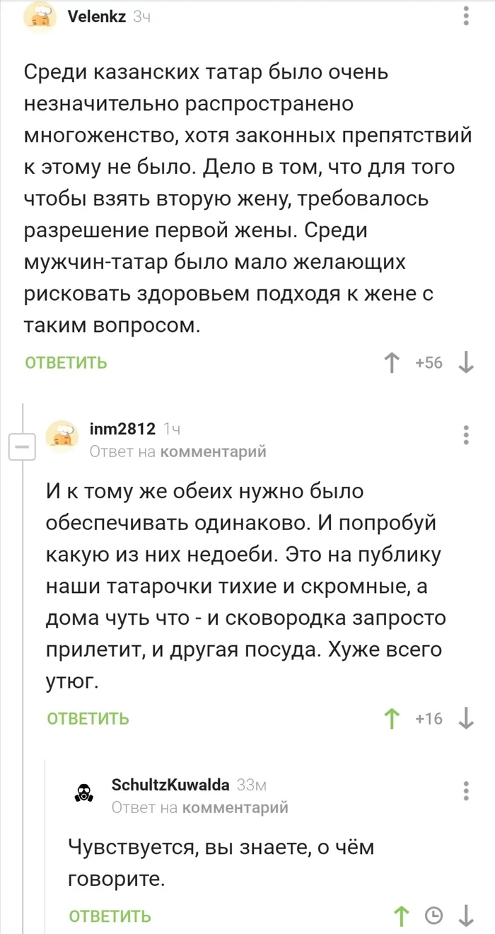 Tatar wife and polygamy - Tatars, Polygamy, Kazan, Comments on Peekaboo, Comments, Screenshot