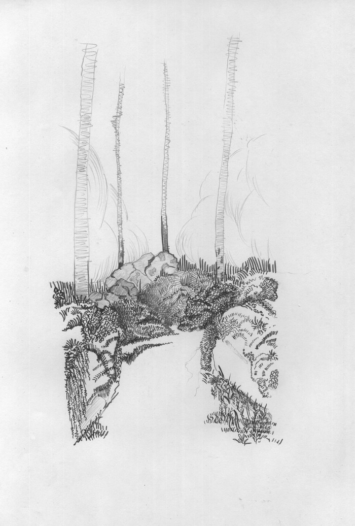 ������ �������� �� ���� ������