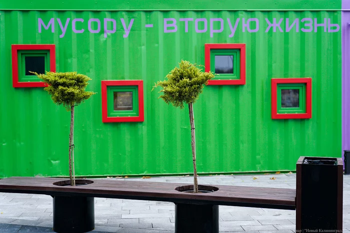 The first toilet in Russia - Boutique - Toilet, Zelenogradsk, Kaliningrad region, Interesting, Positive, Text, Picture with text, Longpost
