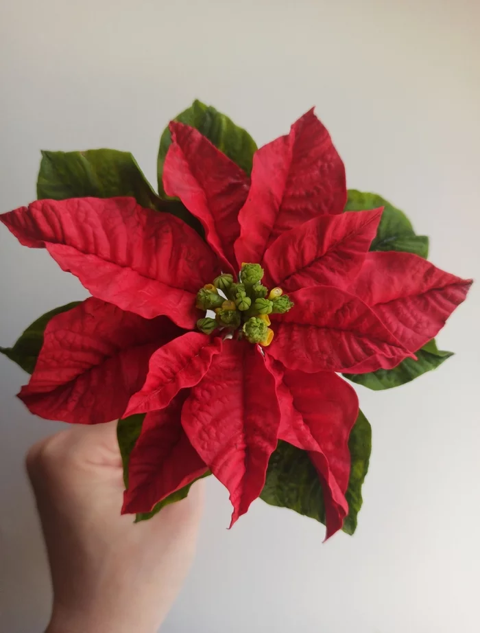 My poinsettia and New Year's bouquet are handmade from polymer clay - My, With your own hands, Cold porcelain, Polymer clay, Polymer floristry, Needlework without process, Longpost