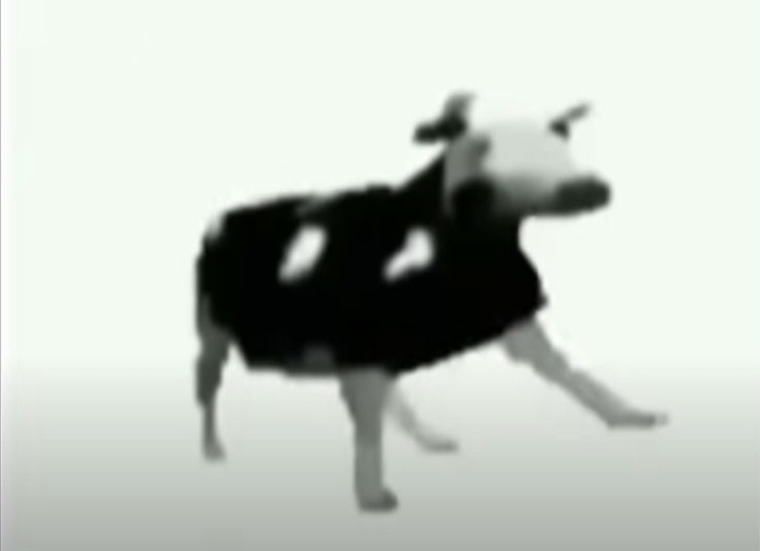 *Disney princess sings* - Polish, Cow