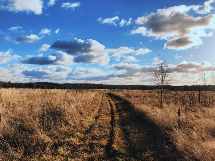 Oktyabrskie fields, Moscow region - The photo, Nature, Field, Moscow region