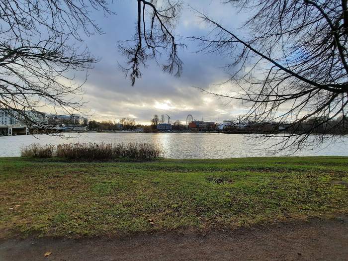 Elagin Island / Central Park of Culture and Leisure named after. S. M. Kirov. Saint Petersburg - My, Squirrel, The park, The photo, Saint Petersburg, Elagin Island, Cpcchio, Video, Longpost