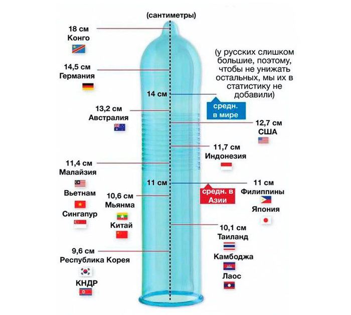 Как измерить член, измерение размера пениса, определить размер презерватива — CMT Научный подход