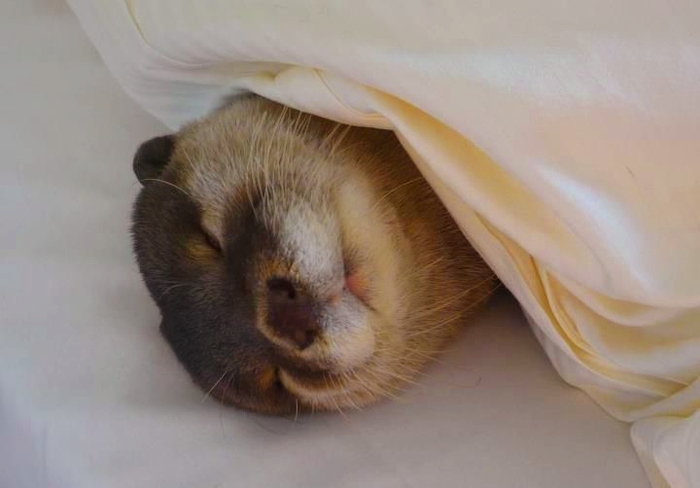 ���������� �����!