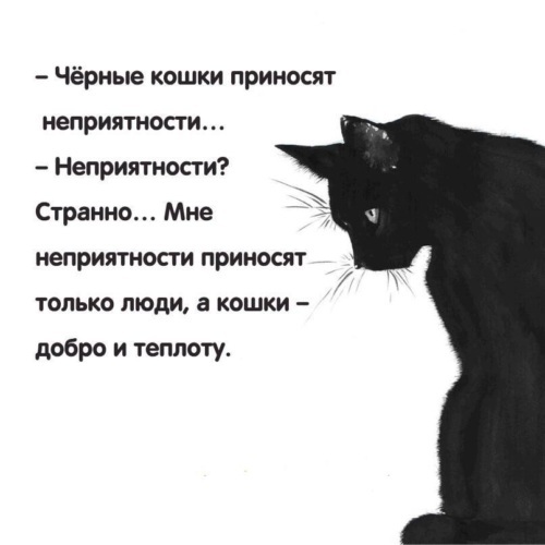 Wise thoughts - Quotes, Wisdom, Vital, cat, Black cat