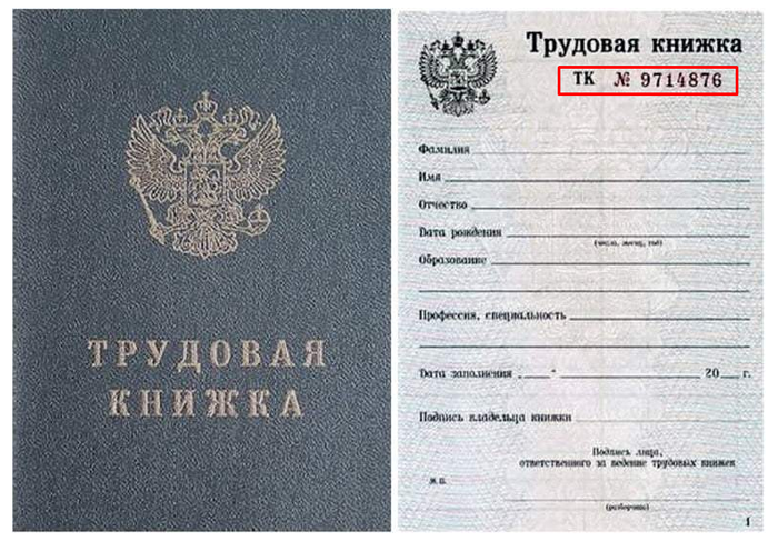 Трудовая книжка. Каков твой выбор?