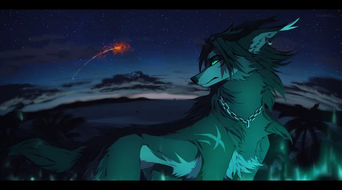 Eternal - Furry, Art, Furry feral, Night, Stars, Furry canine, Suzamuri