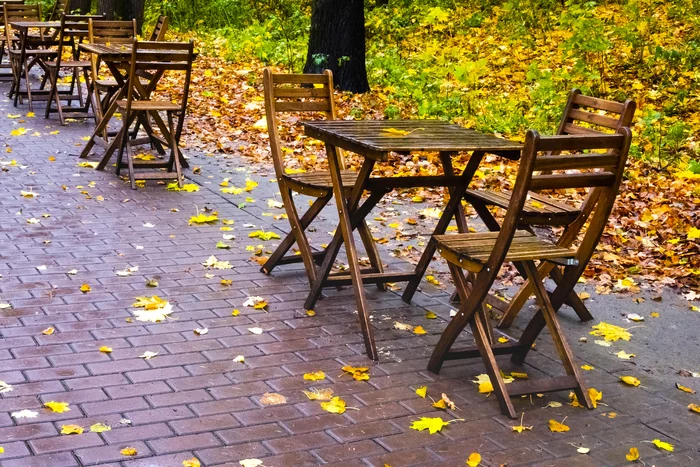 Autumn cafe - My, Brightness, Autumn, Street photography