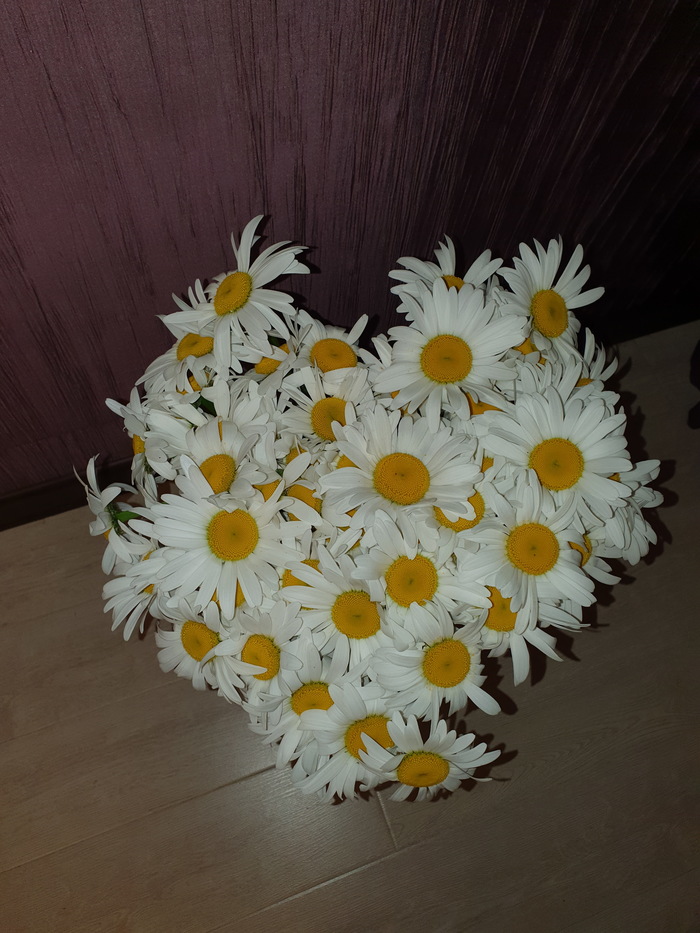 Ну здравствуйте