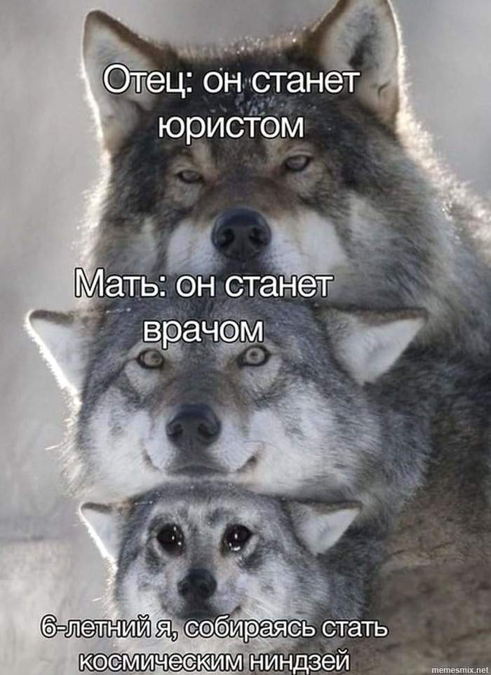 планы на жизнь юмор. Смотреть фото планы на жизнь юмор. Смотреть картинку планы на жизнь юмор. Картинка про планы на жизнь юмор. Фото планы на жизнь юмор
