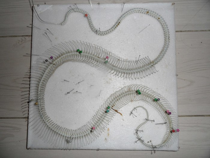 le serpent d ocean история