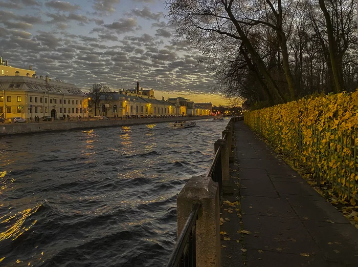 Four Seasons - My, Saint Petersburg, Fontanka, Summer garden, Autumn, Summer, Winter, Spring, Images, Longpost