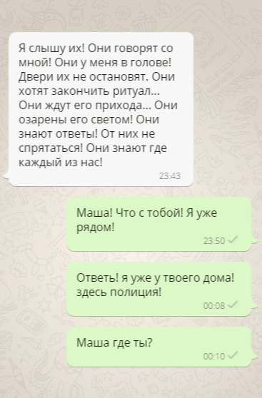 Last message... - My, Story, Author's story, Kripota, CreepyStory, Screenshot, Correspondence, Страшные истории, Horror, Horror, Horror, Story, Scarecrow, Whatsapp, Longpost