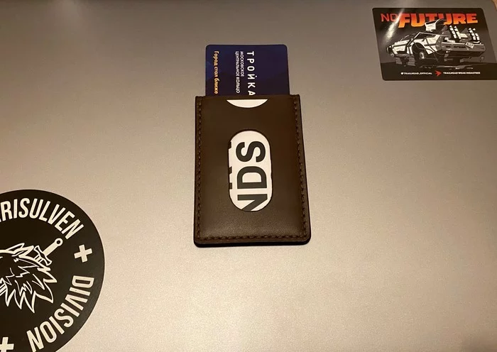 Shielded leather case for pass (experiment) - My, Leather products, Folk art, Longpost