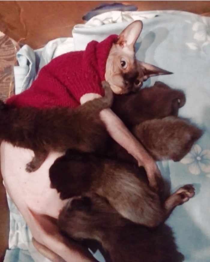 Когда связалась не с тем парнем...