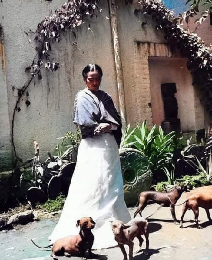 ����� ���� � �� ������