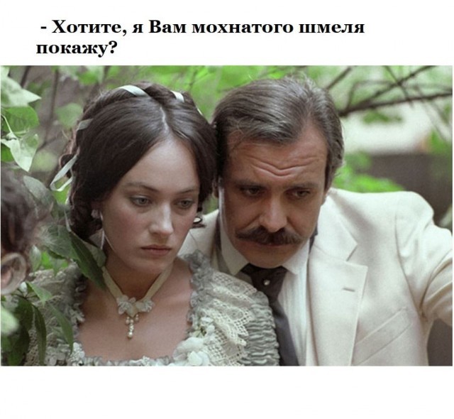 Furry bumblebee - Humor, Picture with text, Larisa Guzeeva, Mikhalkov, Movies
