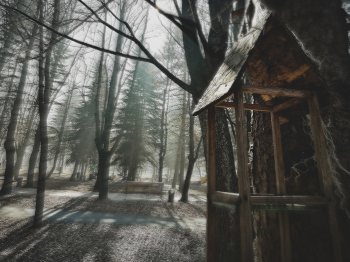 Скворечник